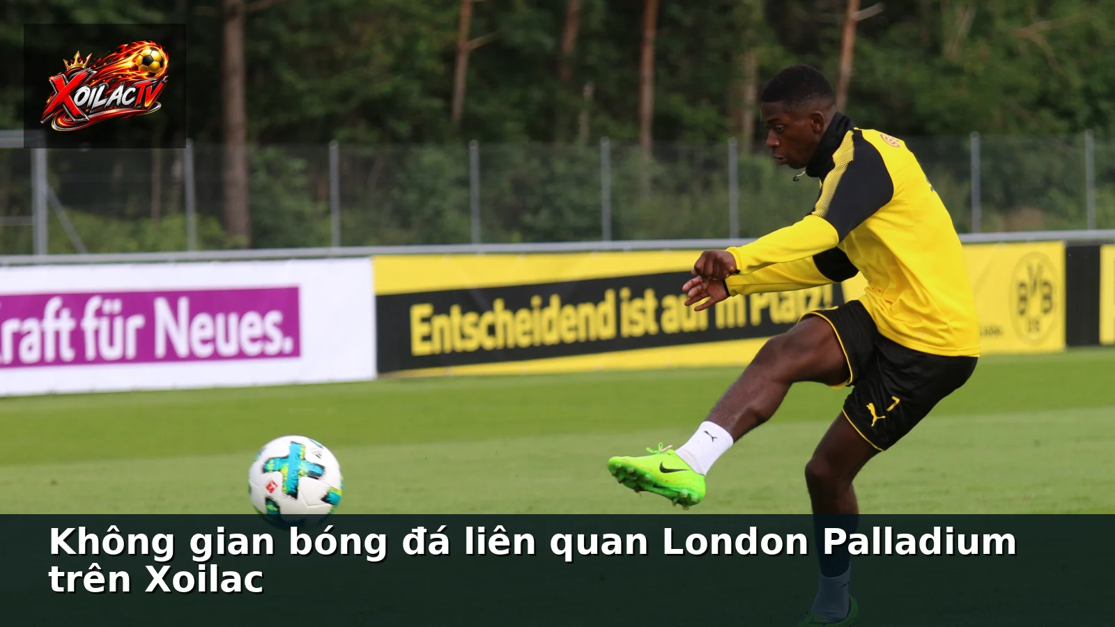 Không gian bóng đá liên quan London Palladium trên Xoilac Không gian bóng đá liên quan London Palladium trên Xoilac