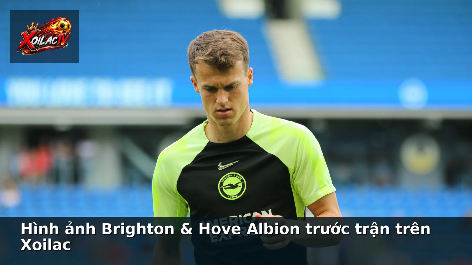 Hình ảnh Brighton & Hove Albion trước trận trên Xoilac Hình ảnh Brighton & Hove Albion trước trận trên Xoilac