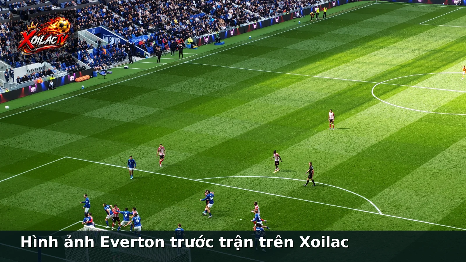 Hình ảnh Everton trước trận trên Xoilac