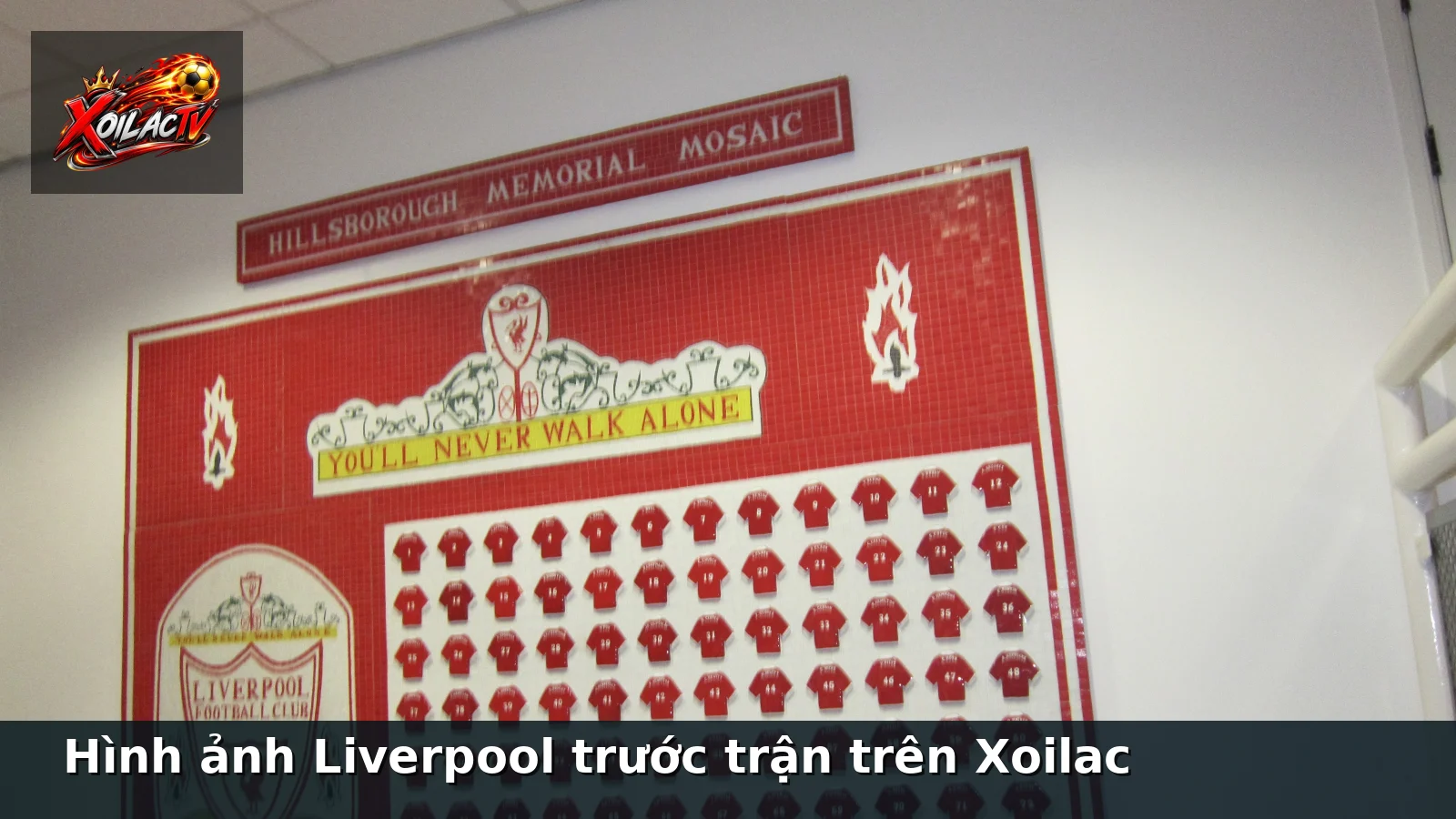 Hình ảnh Liverpool trước trận trên Xoilac