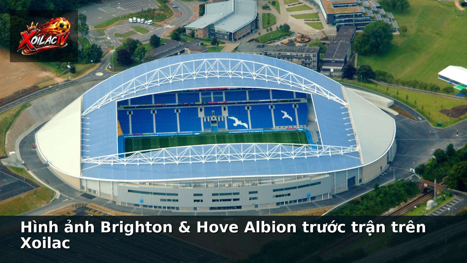 Hình ảnh Brighton & Hove Albion trước trận trên Xoilac Hình ảnh Brighton & Hove Albion trước trận trên Xoilac