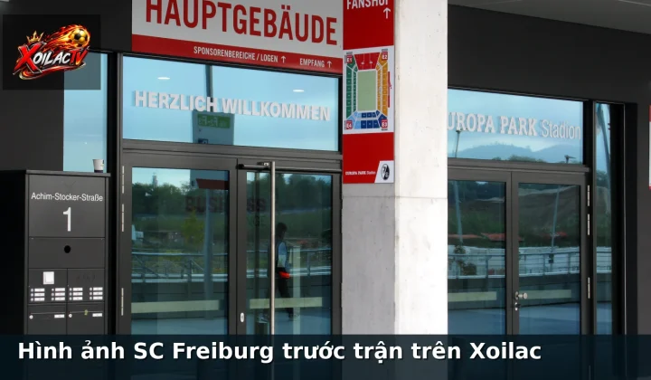 Hình ảnh SC Freiburg trước trận trên Xoilac