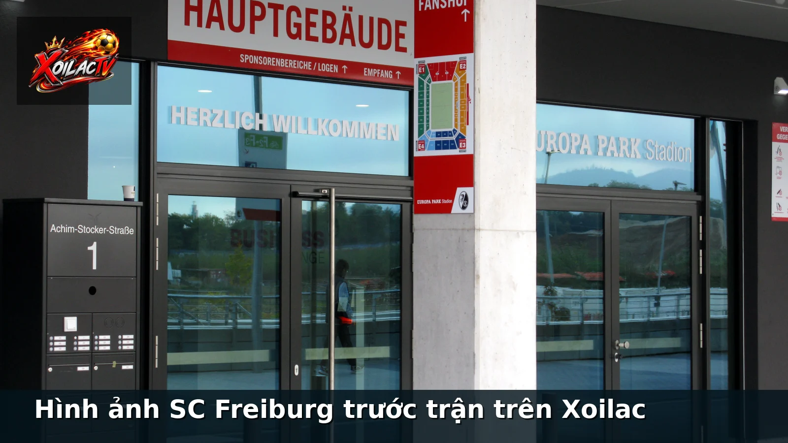 Hình ảnh SC Freiburg trước trận trên Xoilac