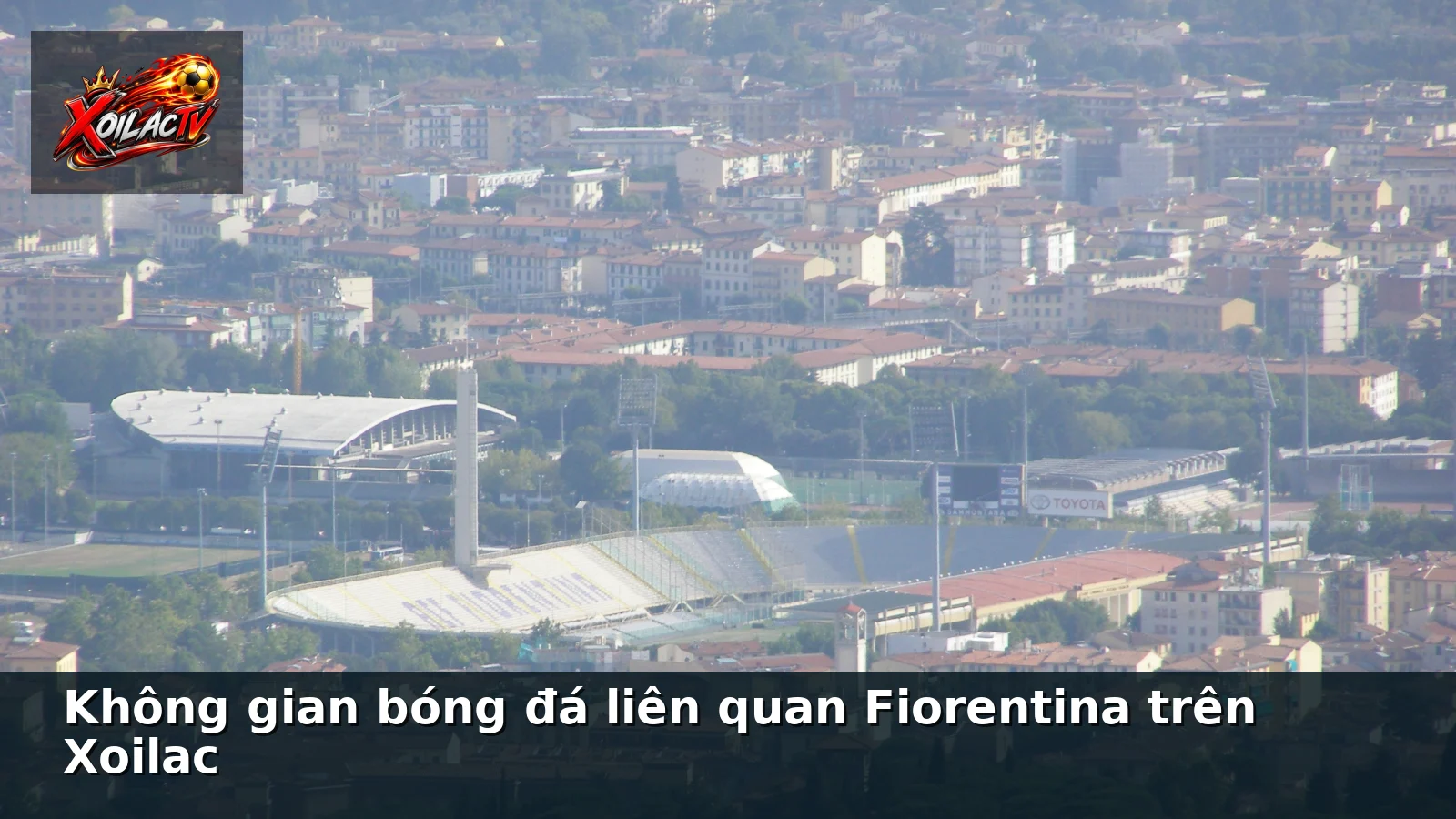 Không gian bóng đá liên quan Fiorentina trên Xoilac Không gian bóng đá liên quan Fiorentina trên Xoilac
