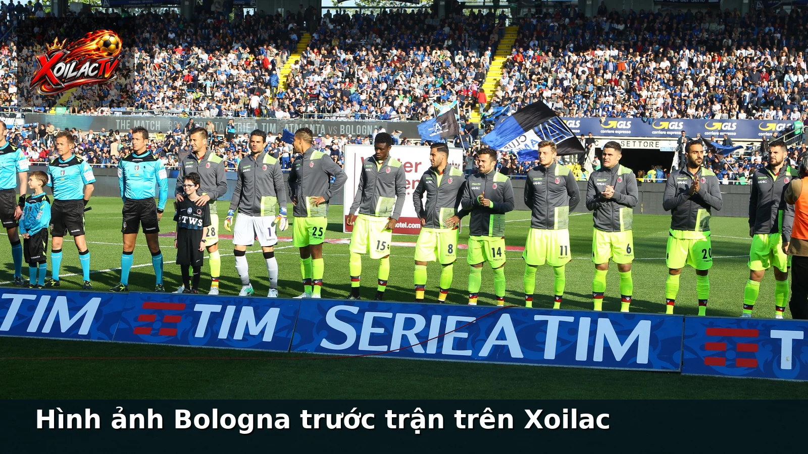 Hình ảnh Bologna trước trận trên Xoilac Hình ảnh Bologna trước trận trên Xoilac