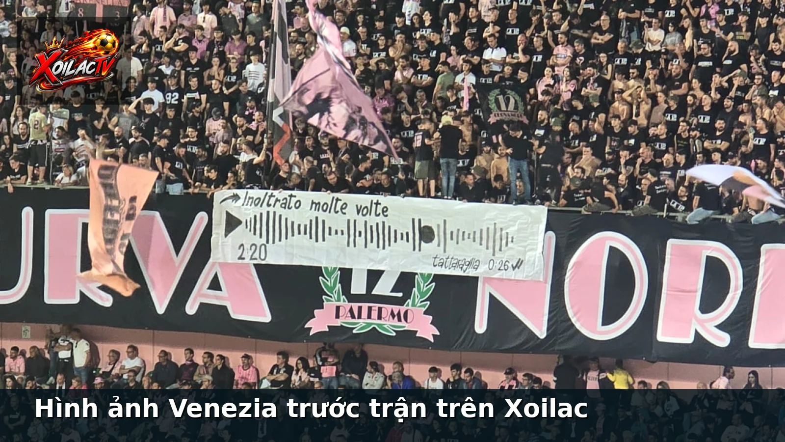 Hình ảnh Venezia trước trận trên Xoilac