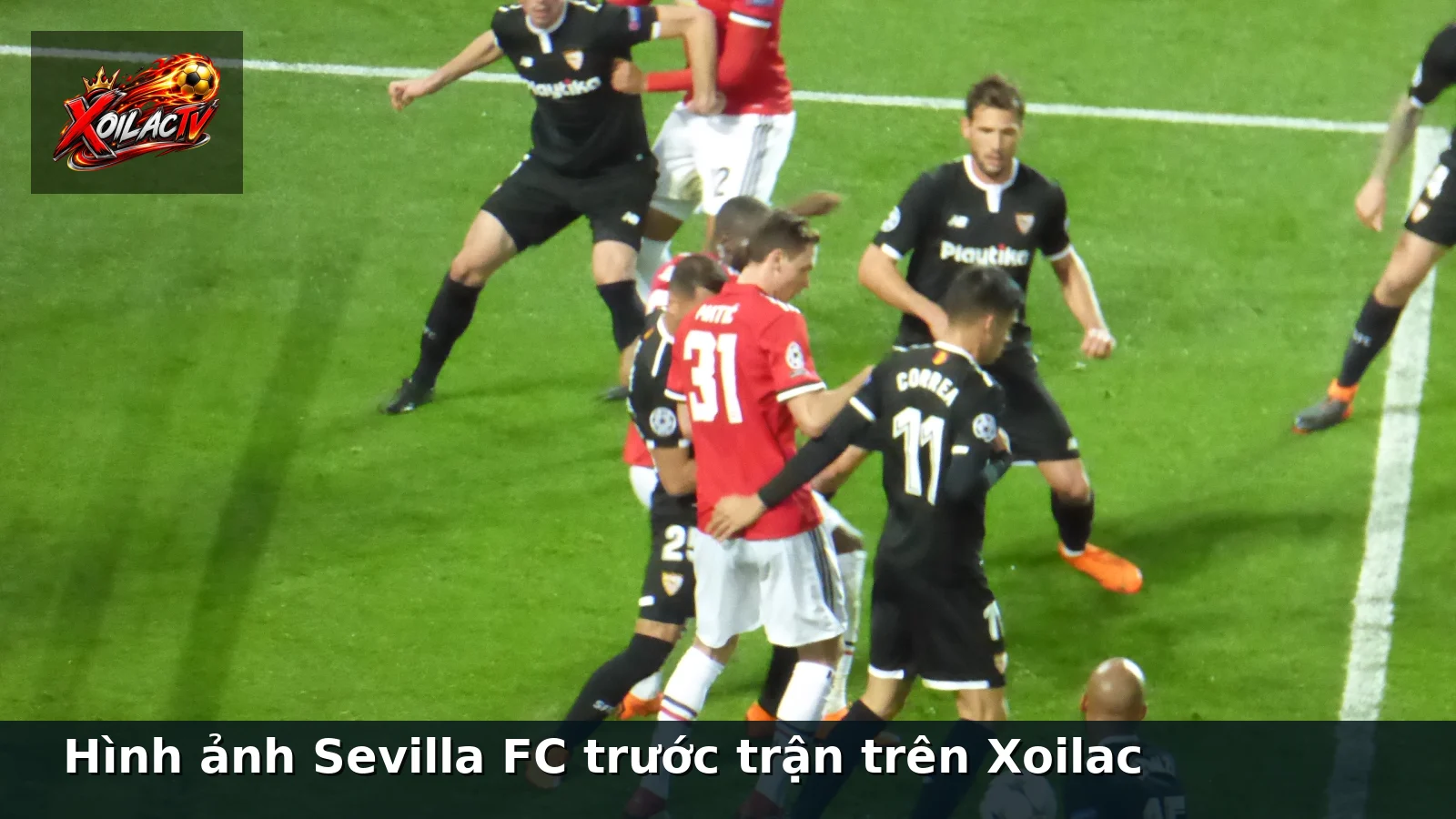 Hình ảnh Sevilla FC trước trận trên Xoilac
