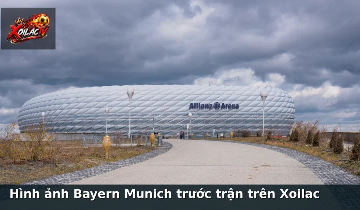 Hình ảnh Bayern Munich trước trận trên Xoilac