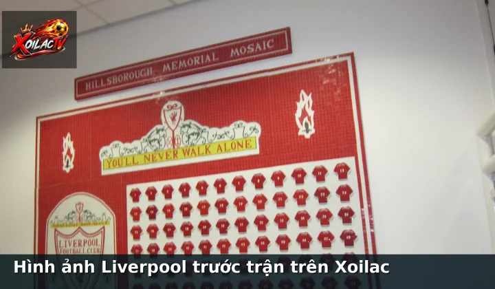 Hình ảnh Liverpool trước trận trên Xoilac