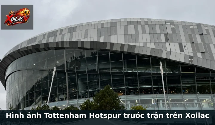 Hình ảnh Tottenham Hotspur trước trận trên Xoilac